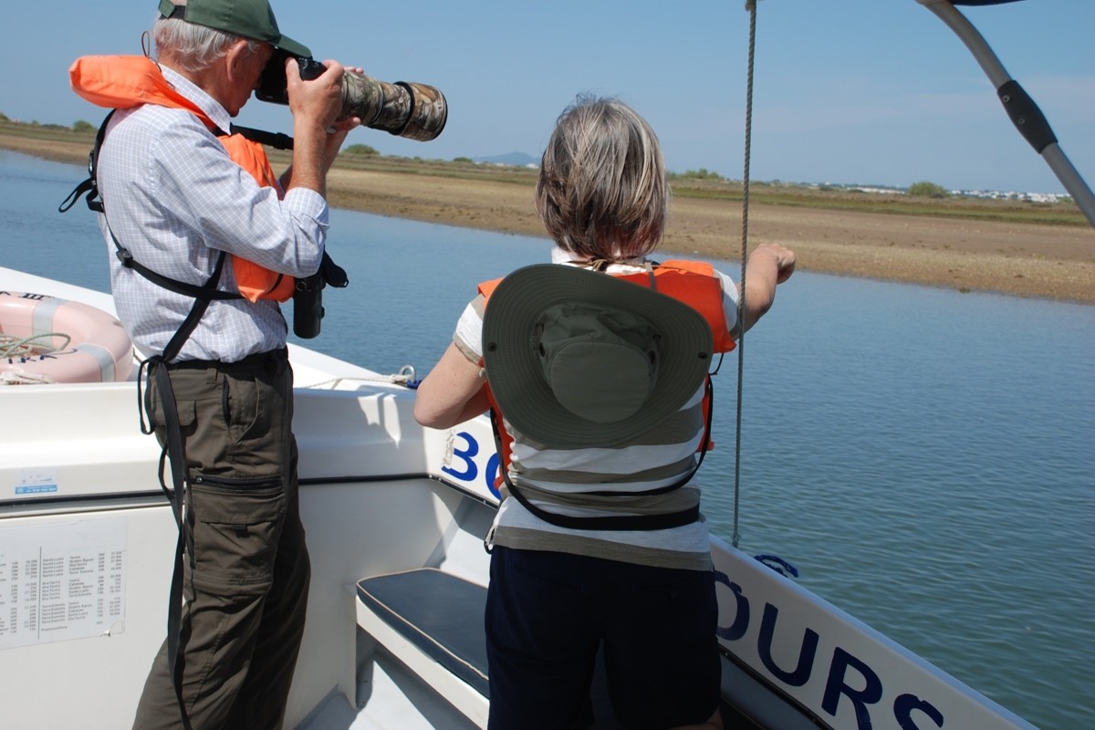 Birdwatching Ria Formosa
